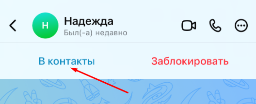 В приложении Max нажмите синюю кнопку «В контакты»